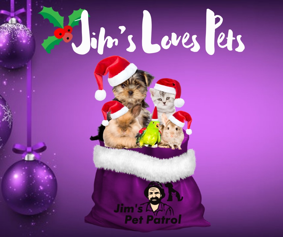 How To Decorate Your House For Christmas When You Have Pets