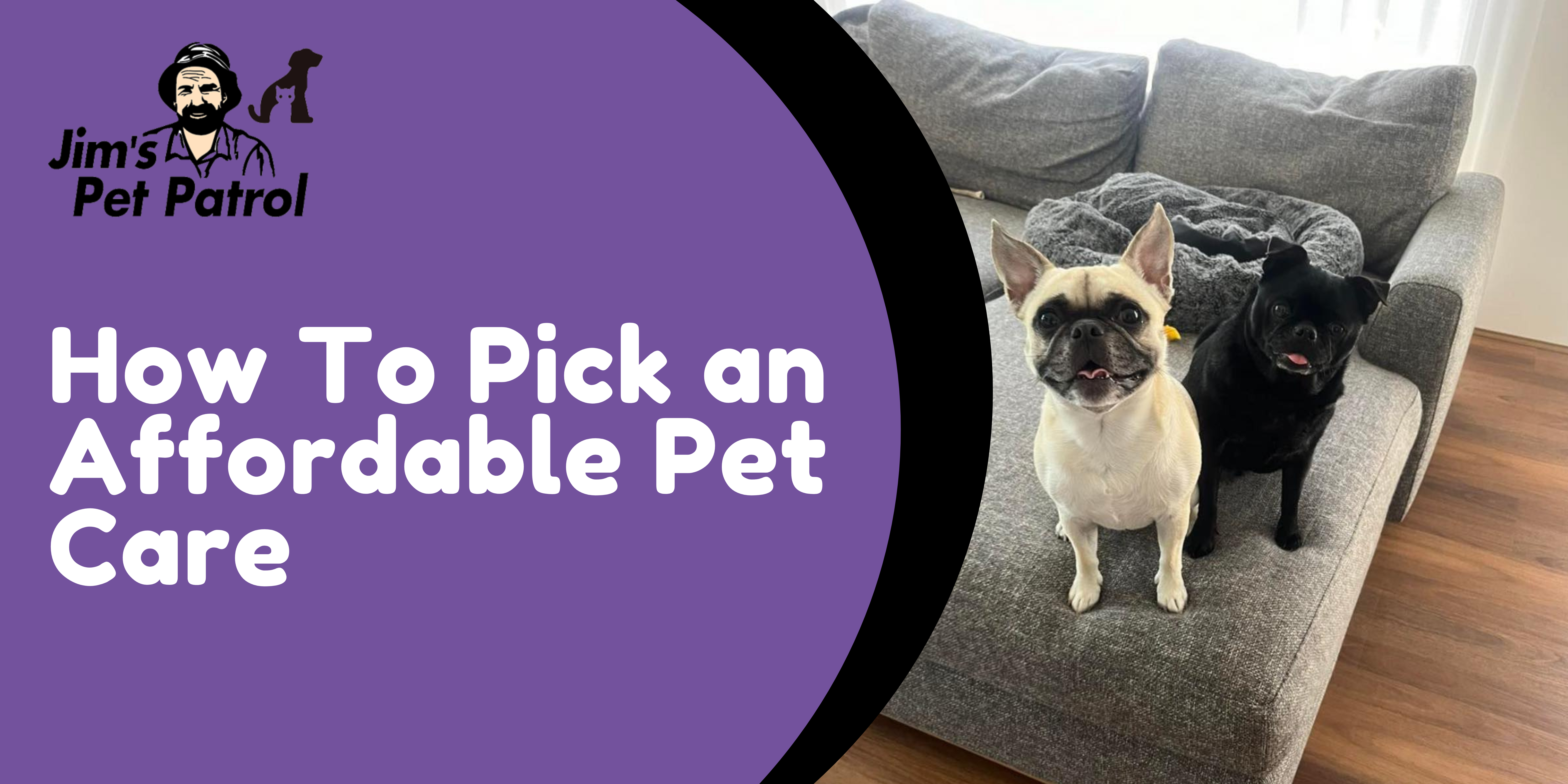 How To Pick an Affordable Pet Care