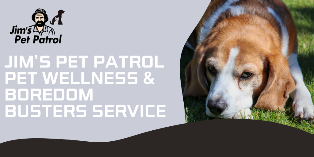 jim's pet patrol pet wellness and boredom busters service