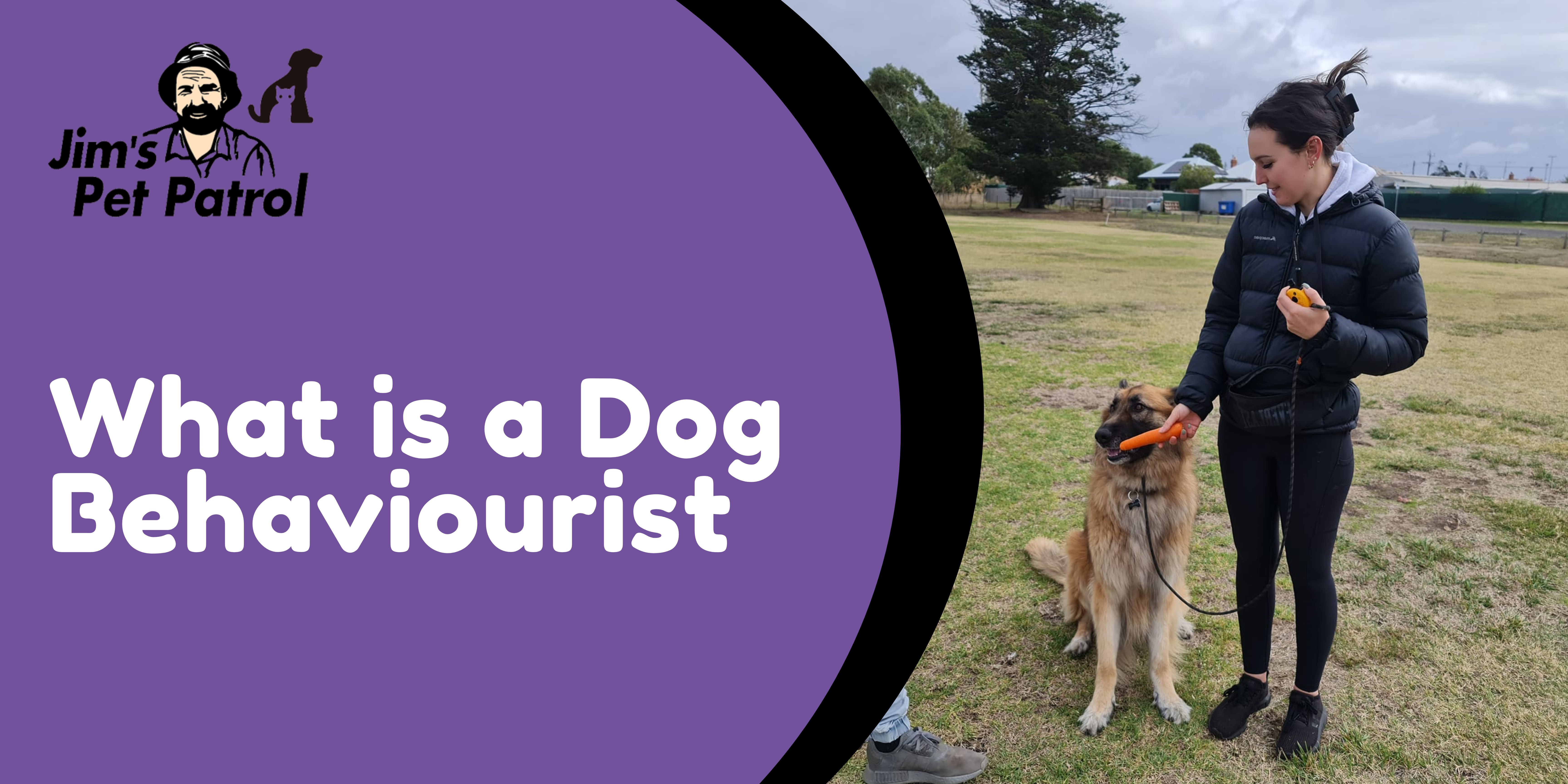 What is a Dog Behaviourist