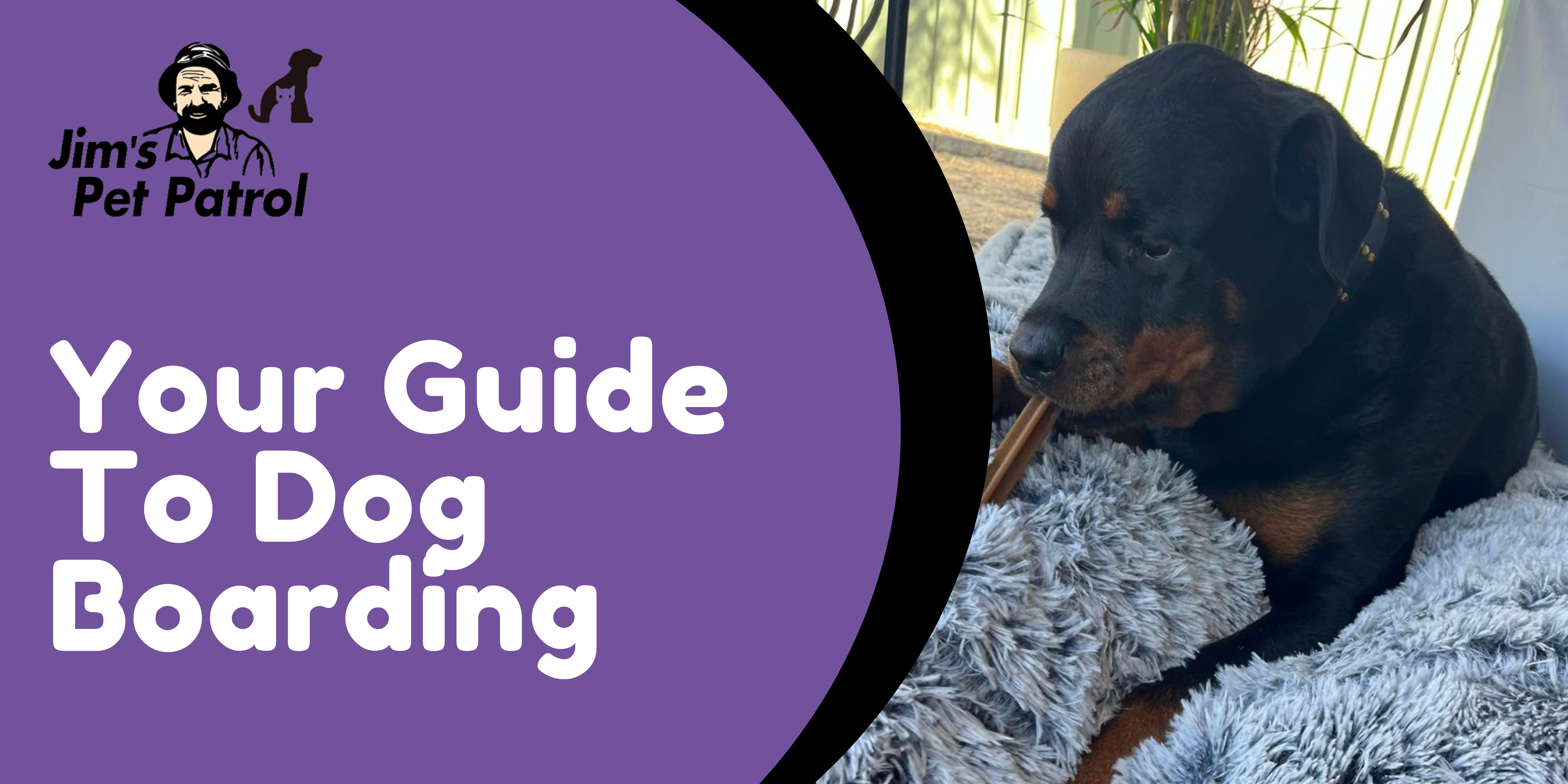 Your Guide To Dog Boarding